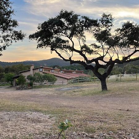 Apartamentos Rurales En Plena Sierra La Calera Eksteriør bilde