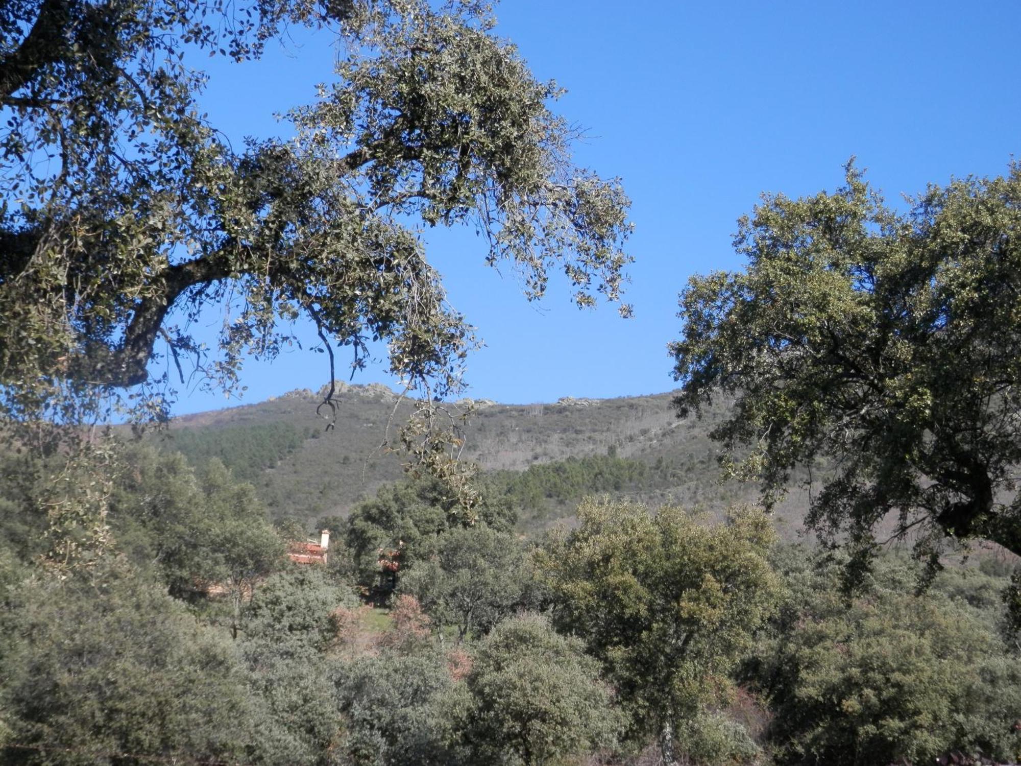 Apartamentos Rurales En Plena Sierra La Calera Eksteriør bilde