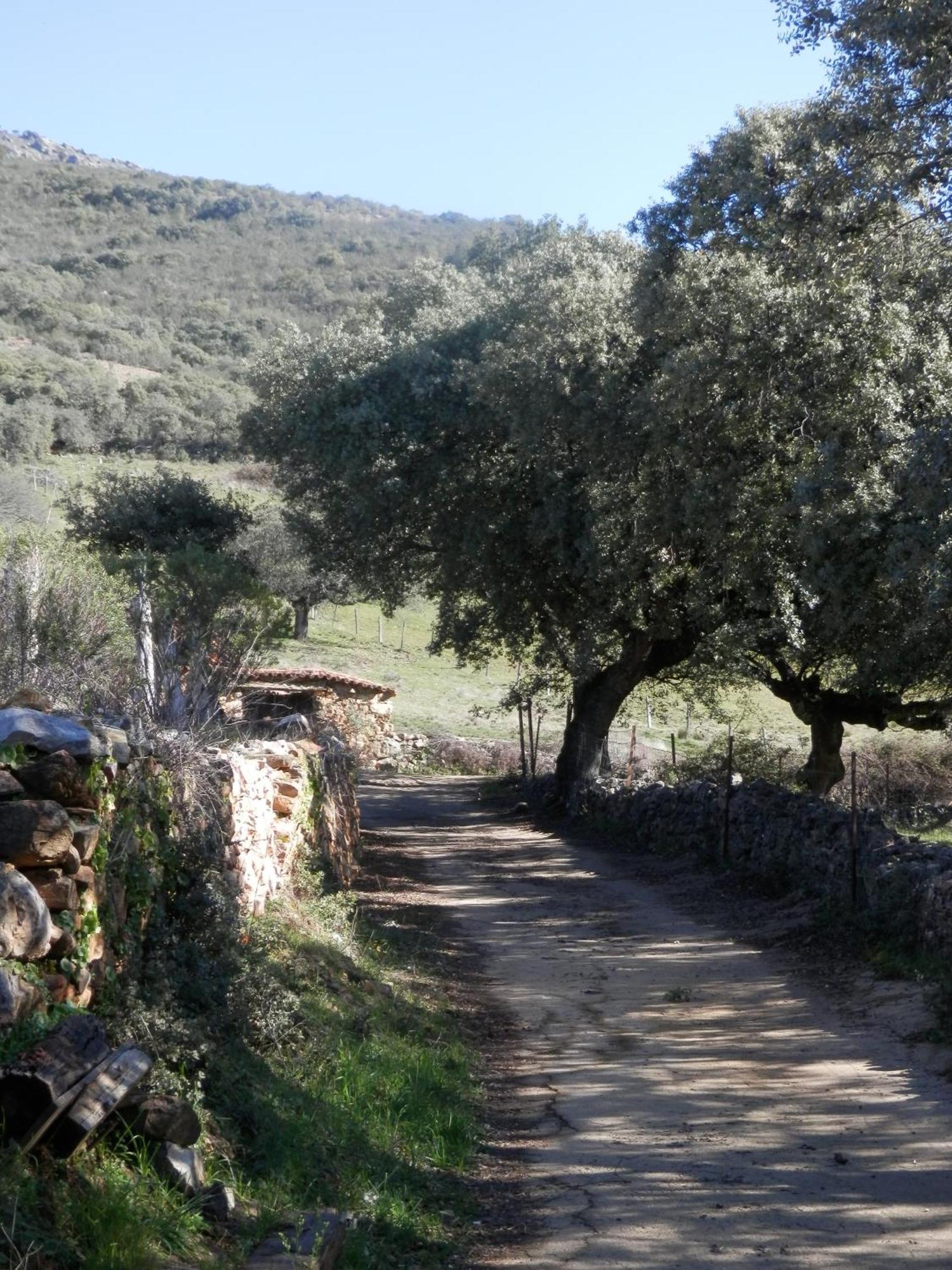 Apartamentos Rurales En Plena Sierra La Calera Eksteriør bilde